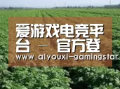 种植基地五