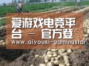 种植基地八