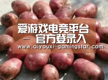 产品展示标题5