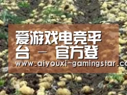 种植基地七