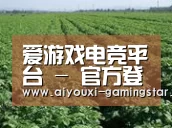 种植基地五(图1)