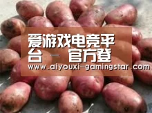 产品展示标题5(图1)