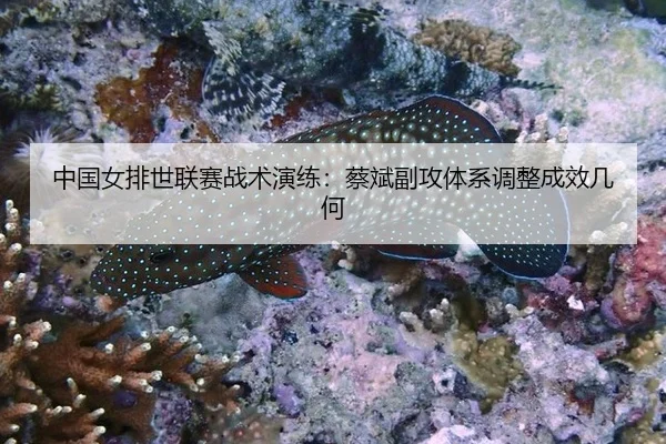zhong-guo-nv-pai-shi-lian-sai-zhan-shu-yan-lian-cai-bin-fu-gong-ti-xi-tiao-zheng-cheng-xiao-ji-he-2-255.jpg