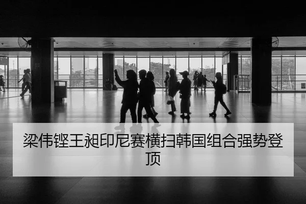 liang-wei-keng-wang-chang-yin-ni-sai-heng-sao-han-guo-zu-he-qiang-shi-deng-ding-3-332.jpg
