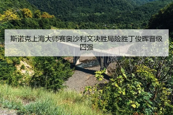 si-nuo-ke-shang-hai-da-shi-sai-ao-sha-li-wen-jue-sheng-ju-xian-sheng-ding-jun-hui-jin-ji-si-qiang-2-274.jpg